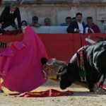 Nimes, sábado 8 de junio de 2019. Tarde