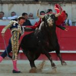 Nimes, sábado 8 de junio de 2019. Tarde