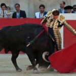 Nimes, sábado 8 de junio de 2019. Tarde
