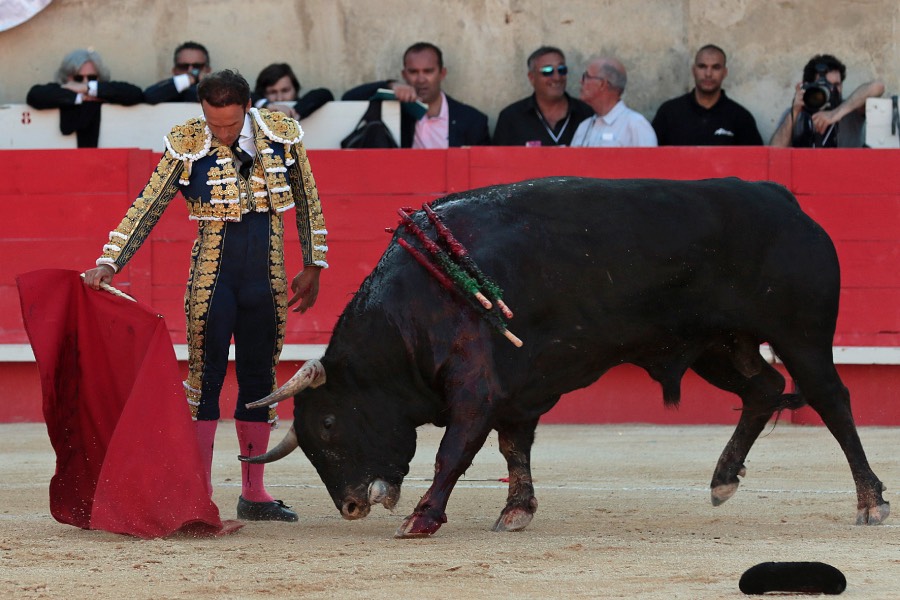 Nimes, sábado 8 de junio de 2019. Tarde