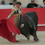Nimes, sábado 8 de junio de 2019. Tarde