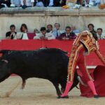 Nimes, sábado 8 de junio de 2019. Tarde