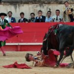 Nimes, sábado 8 de junio de 2019. Tarde