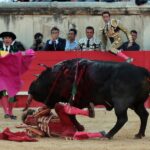 Nimes, sábado 8 de junio de 2019. Tarde