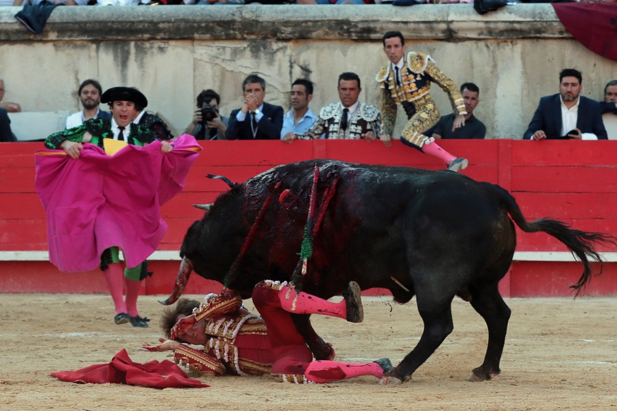 Nimes, sábado 8 de junio de 2019. Tarde