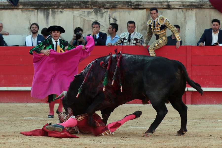 Nimes, sábado 8 de junio de 2019. Tarde