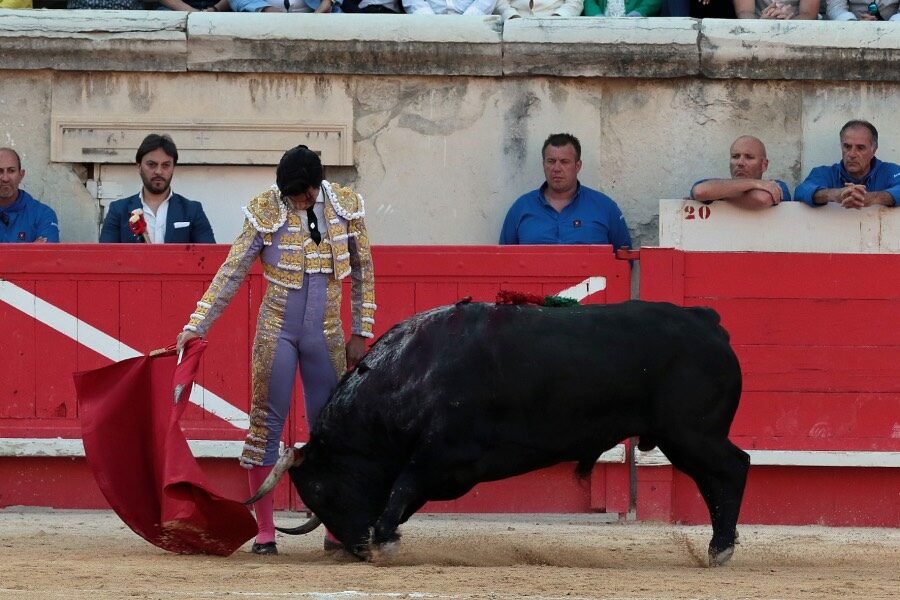 Nimes, sábado 8 de junio de 2019. Tarde