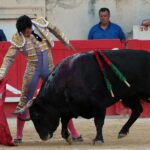 Nimes, sábado 8 de junio de 2019. Tarde