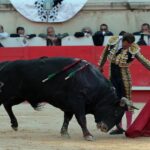 Nimes, sábado 8 de junio de 2019. Tarde