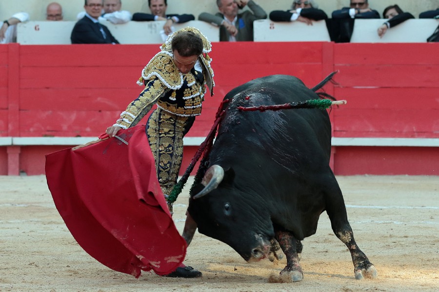 Nimes, sábado 8 de junio de 2019. Tarde
