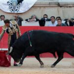 Nimes, sábado 8 de junio de 2019. Tarde