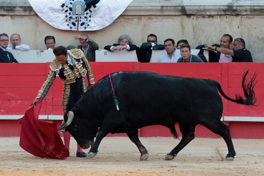 Nimes, sábado 8 de junio de 2019. Tarde