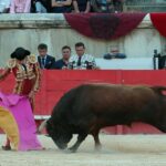 Nimes, sábado 8 de junio de 2019. Tarde