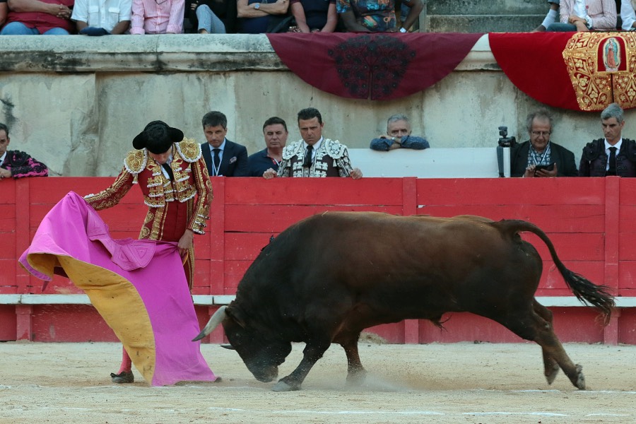 Nimes, sábado 8 de junio de 2019. Tarde