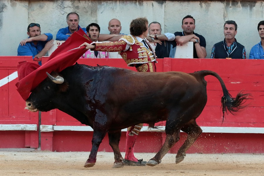 Nimes, sábado 8 de junio de 2019. Tarde