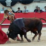 Nimes, sábado 8 de junio de 2019. Tarde