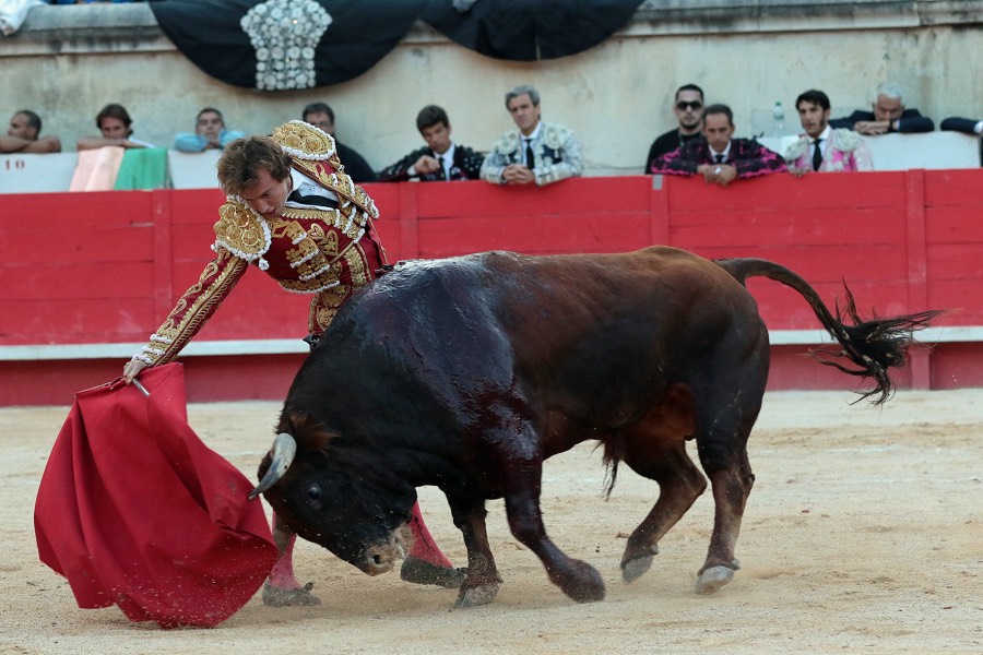 Nimes, sábado 8 de junio de 2019. Tarde