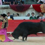 Nimes, sábado 8 de junio de 2019. Tarde