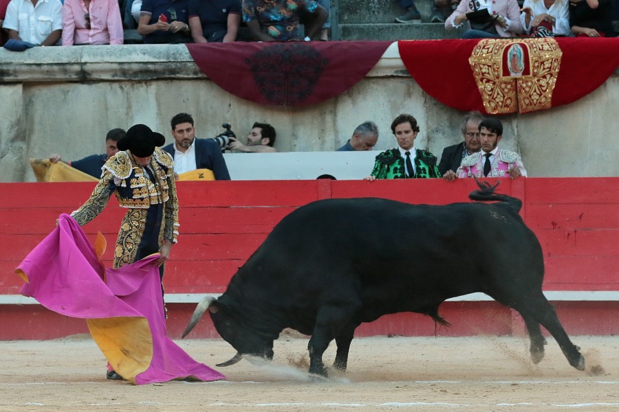 Nimes, sábado 8 de junio de 2019. Tarde