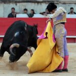 Nimes, sábado 8 de junio de 2019. Tarde
