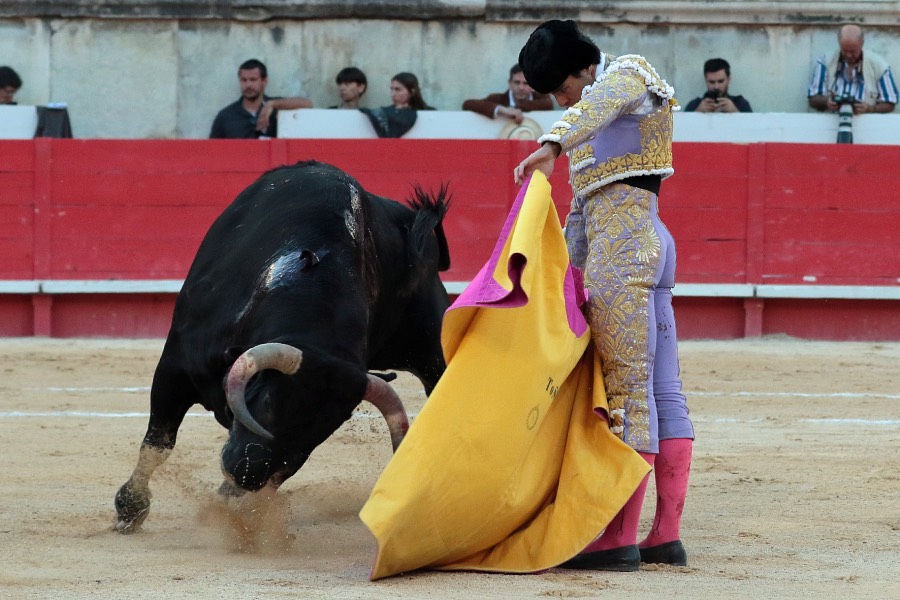 Nimes, sábado 8 de junio de 2019. Tarde
