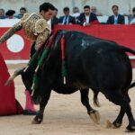 Nimes, sábado 8 de junio de 2019. Tarde