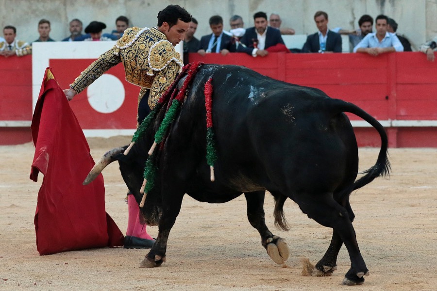 Nimes, sábado 8 de junio de 2019. Tarde