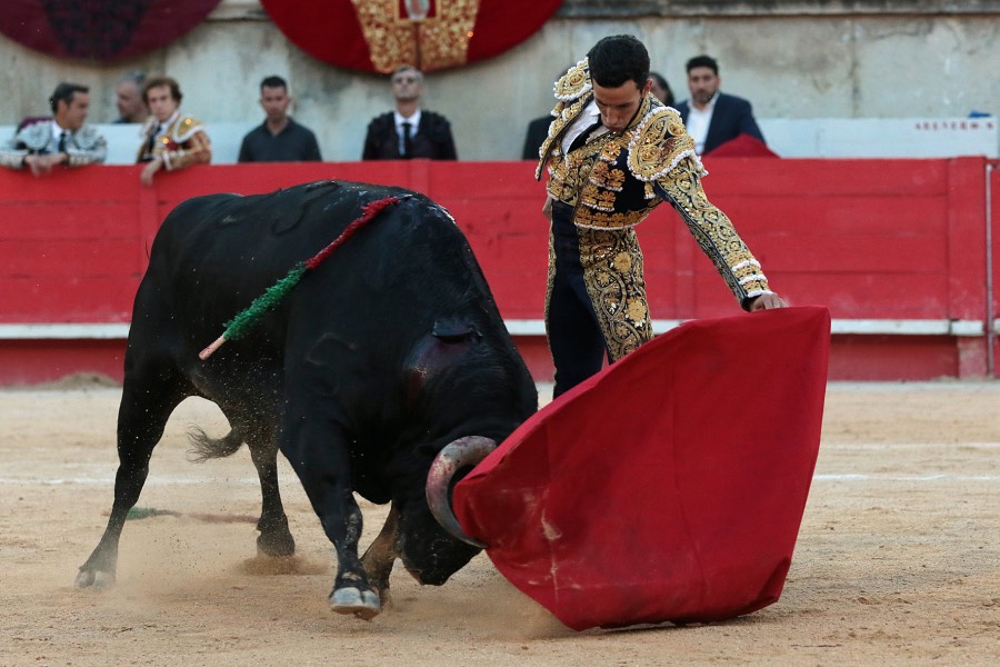 Nimes, sábado 8 de junio de 2019. Tarde