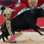 Nimes, sábado 8 de junio de 2019. Tarde