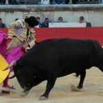 Nimes, sábado 8 de junio de 2019. Tarde