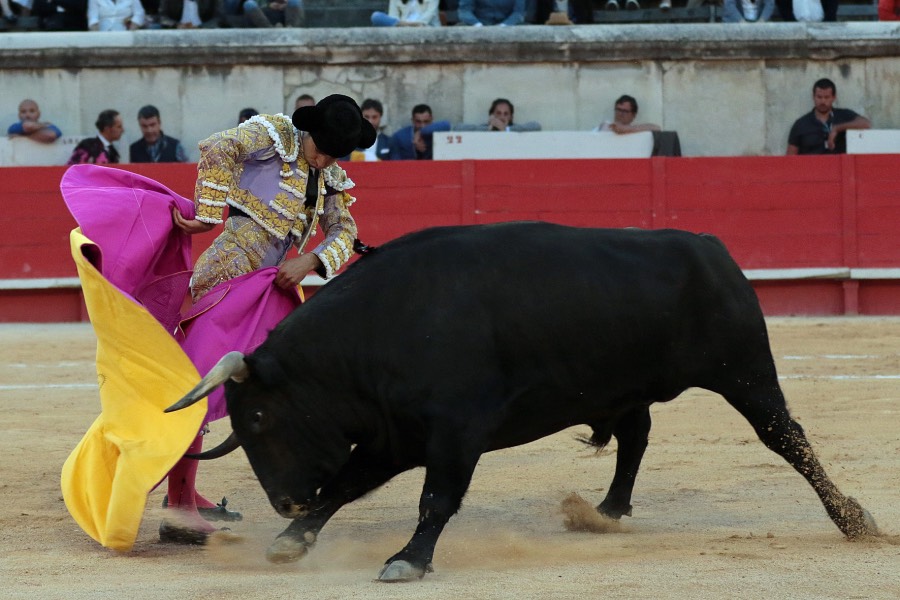 Nimes, sábado 8 de junio de 2019. Tarde