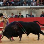 Nimes, sábado 8 de junio de 2019. Tarde
