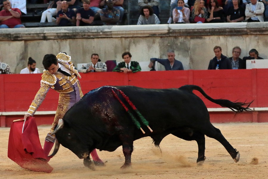 Nimes, sábado 8 de junio de 2019. Tarde