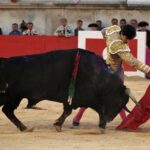 Nimes, sábado 8 de junio de 2019. Tarde