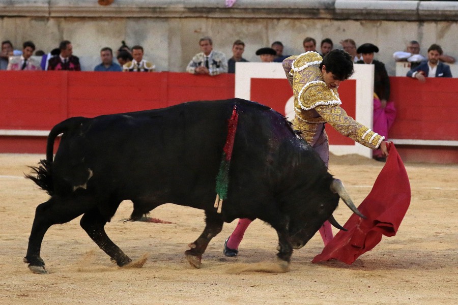 Nimes, sábado 8 de junio de 2019. Tarde