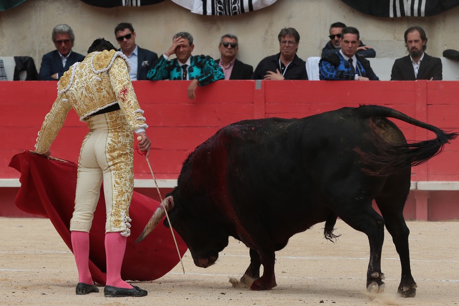 Nimes, domingo 9 de junio de 2019. Matinal