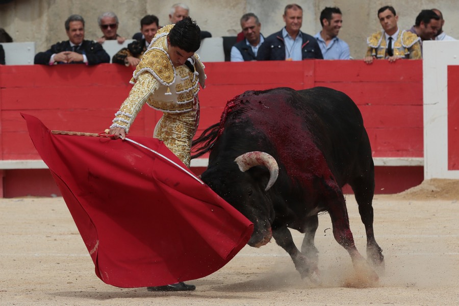 Nimes, domingo 9 de junio de 2019. Matinal