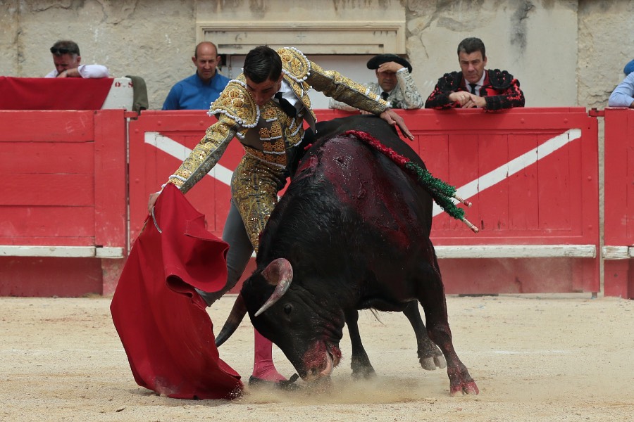 Nimes, domingo 9 de junio de 2019. Matinal