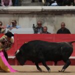 Nimes, domingo 9 de junio de 2019. Matinal