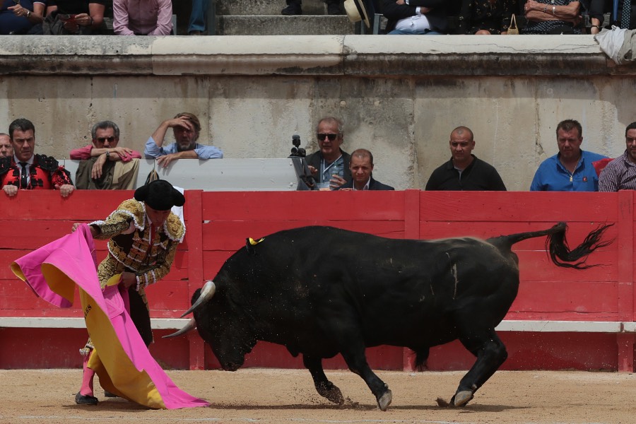 Nimes, domingo 9 de junio de 2019. Matinal