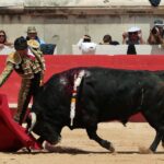 Nimes, domingo 9 de junio de 2019. Matinal