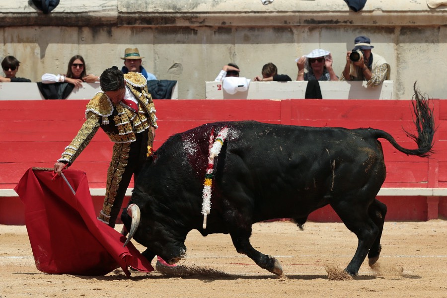 Nimes, domingo 9 de junio de 2019. Matinal