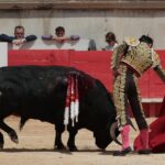 Nimes, domingo 9 de junio de 2019. Matinal