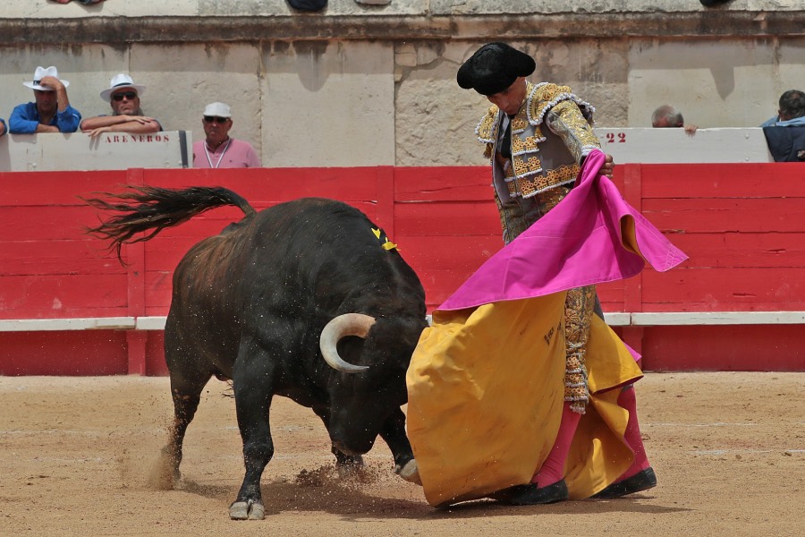 Nimes, domingo 9 de junio de 2019. Matinal