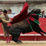 Nimes, domingo 9 de junio de 2019. Matinal