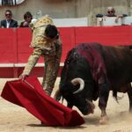 Nimes, domingo 9 de junio de 2019. Matinal