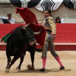Nimes, domingo 9 de junio de 2019. Matinal