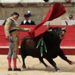 Nimes, domingo 9 de junio de 2019. Matinal