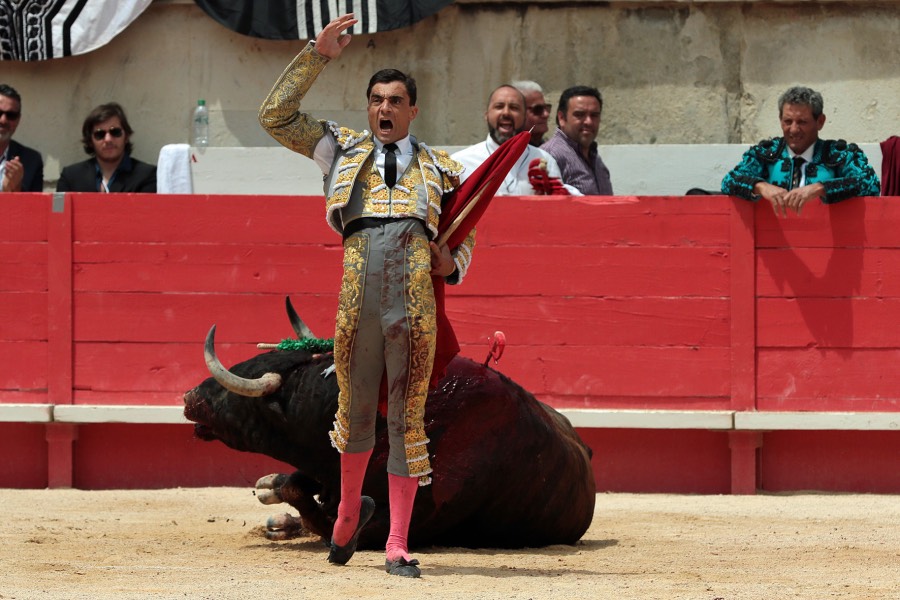 Nimes, domingo 9 de junio de 2019. Matinal