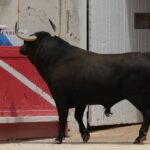 Nimes, domingo 9 de junio de 2019. Matinal